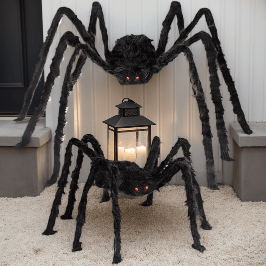 Giant Black Spider from Deepest Forest