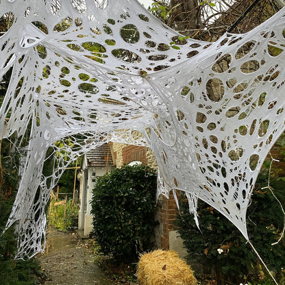 Giant Spider Web Indoor and Outdoor Decoration 600 x 200 cm